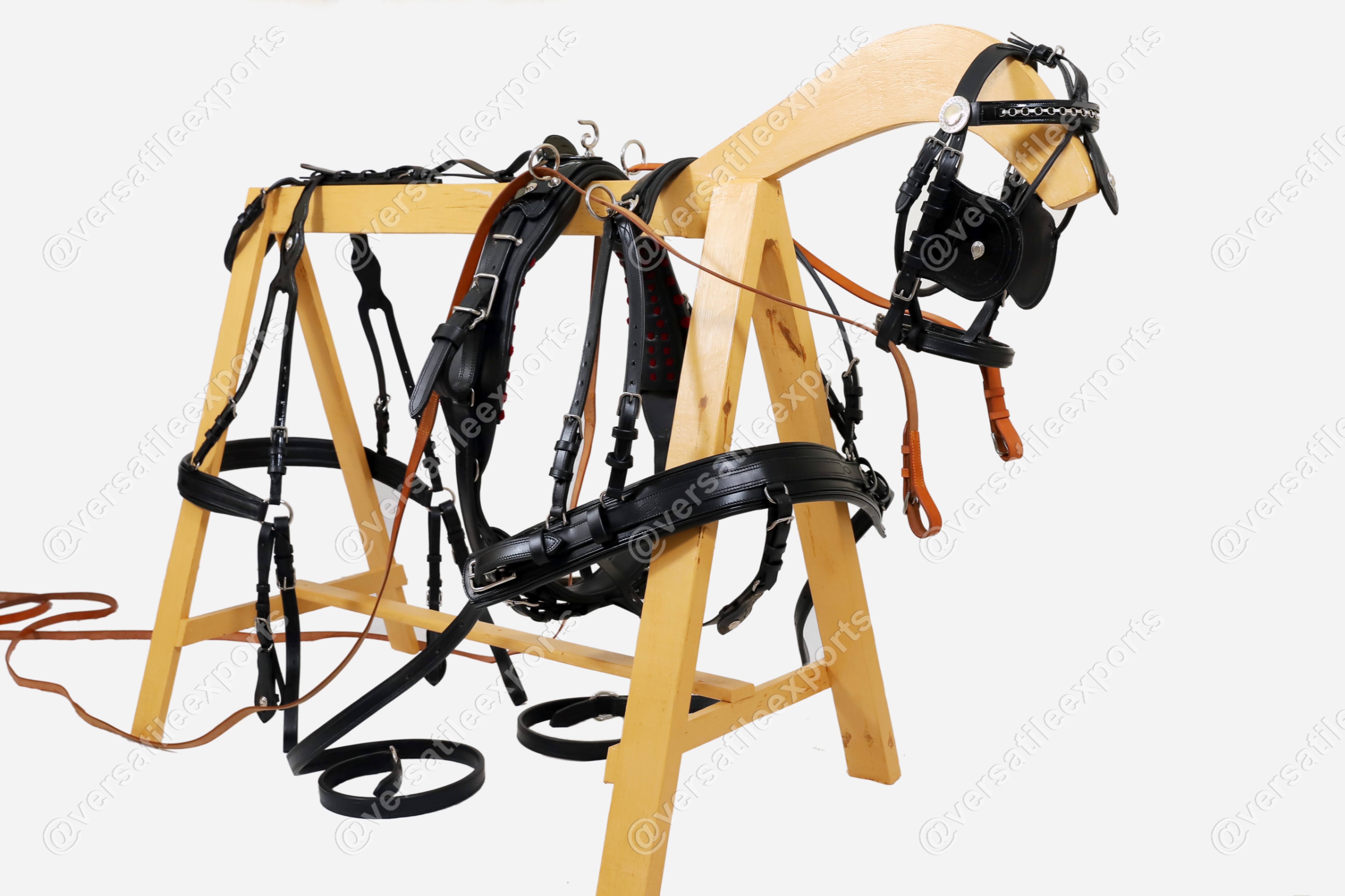 Presentation Harness